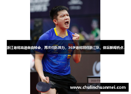 浙江老将高迪自由转会，再次归队效力，36岁老将回归浙江队，体坛新闻看点.